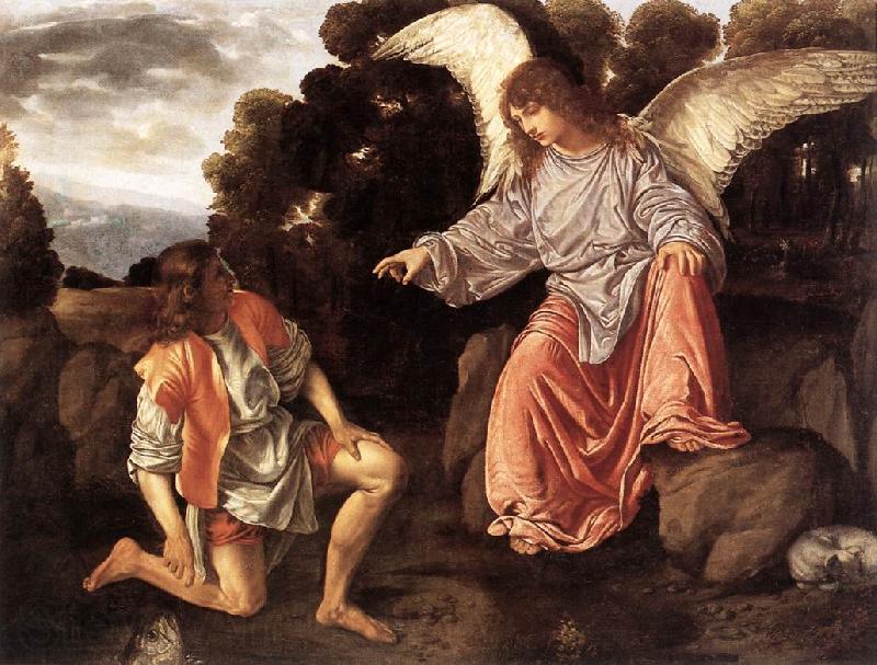 SAVOLDO, Giovanni Girolamo Tobias and the Angel sf Germany oil painting art